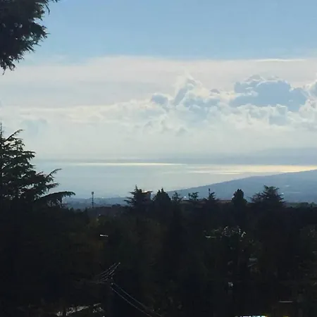 Betulla Dell'etna