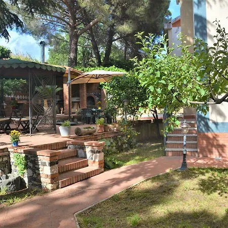 Betulla Dell'etna Nicolosi