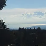 Betulla Dell'etna