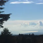 Betulla Dell'etna Николози