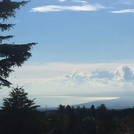 Betulla Dell'etna نيكولوسي