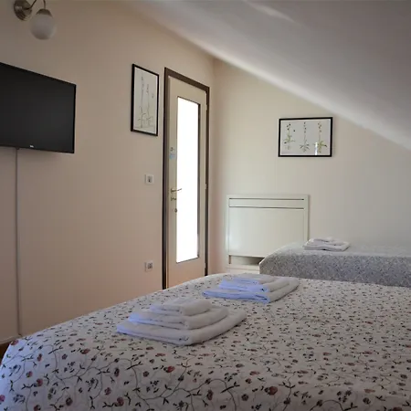 Betulla Dell'etna نيكولوسي
