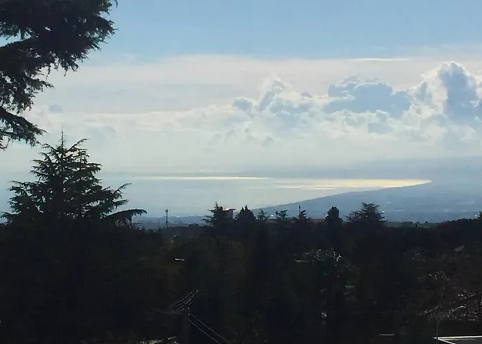 Betulla Dell'etna